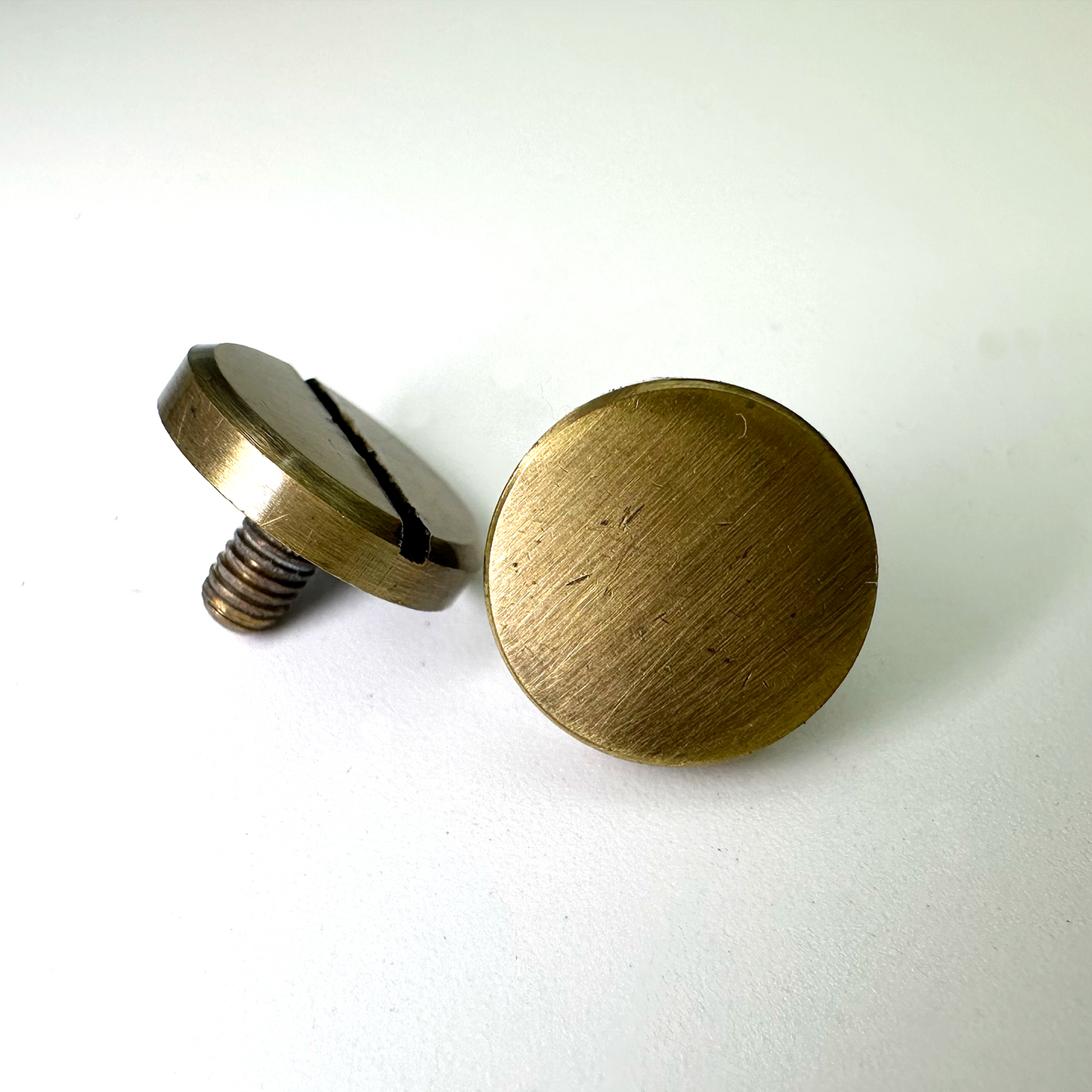 Tan Floral Tooled Belt Strap