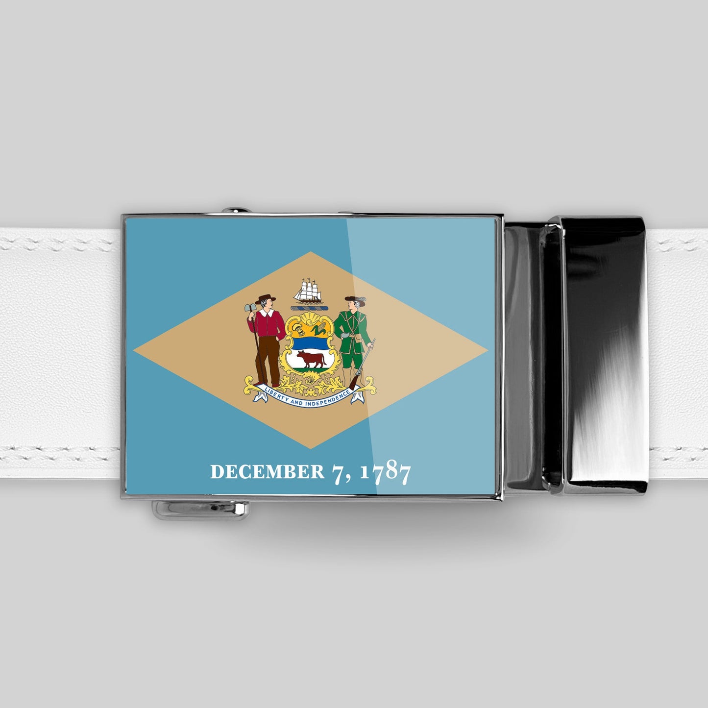 Delaware Flag Belt
